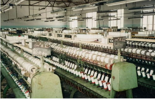 江蘇新首富易主 低調的陳建華，超越劉強東的商業傳奇