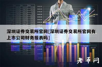 深圳證券交易所官網 上市公司財務信息的權威查詢指南