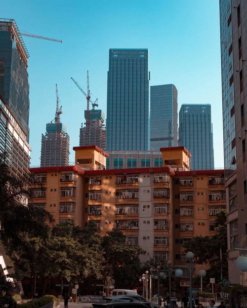 從南山到福永 深圳年輕人的跨城租房與通勤現實